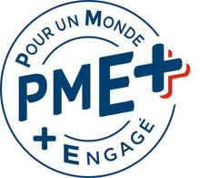 Charger l'image dans la galerie, Logo of PME+, symbolizing commitment for a better world, with blue and red accents.