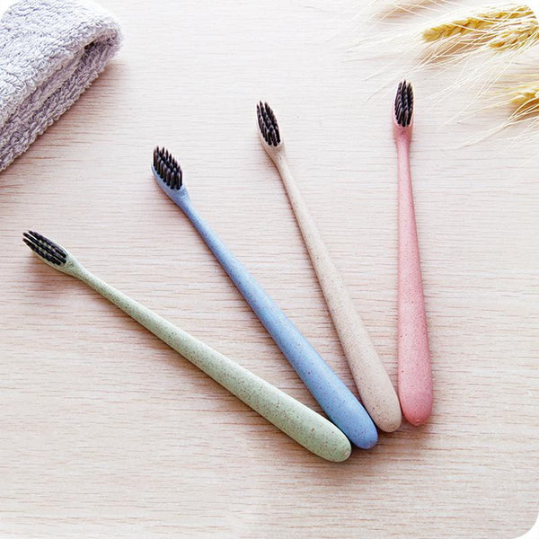 Que deviennent nos brosses à dents ?